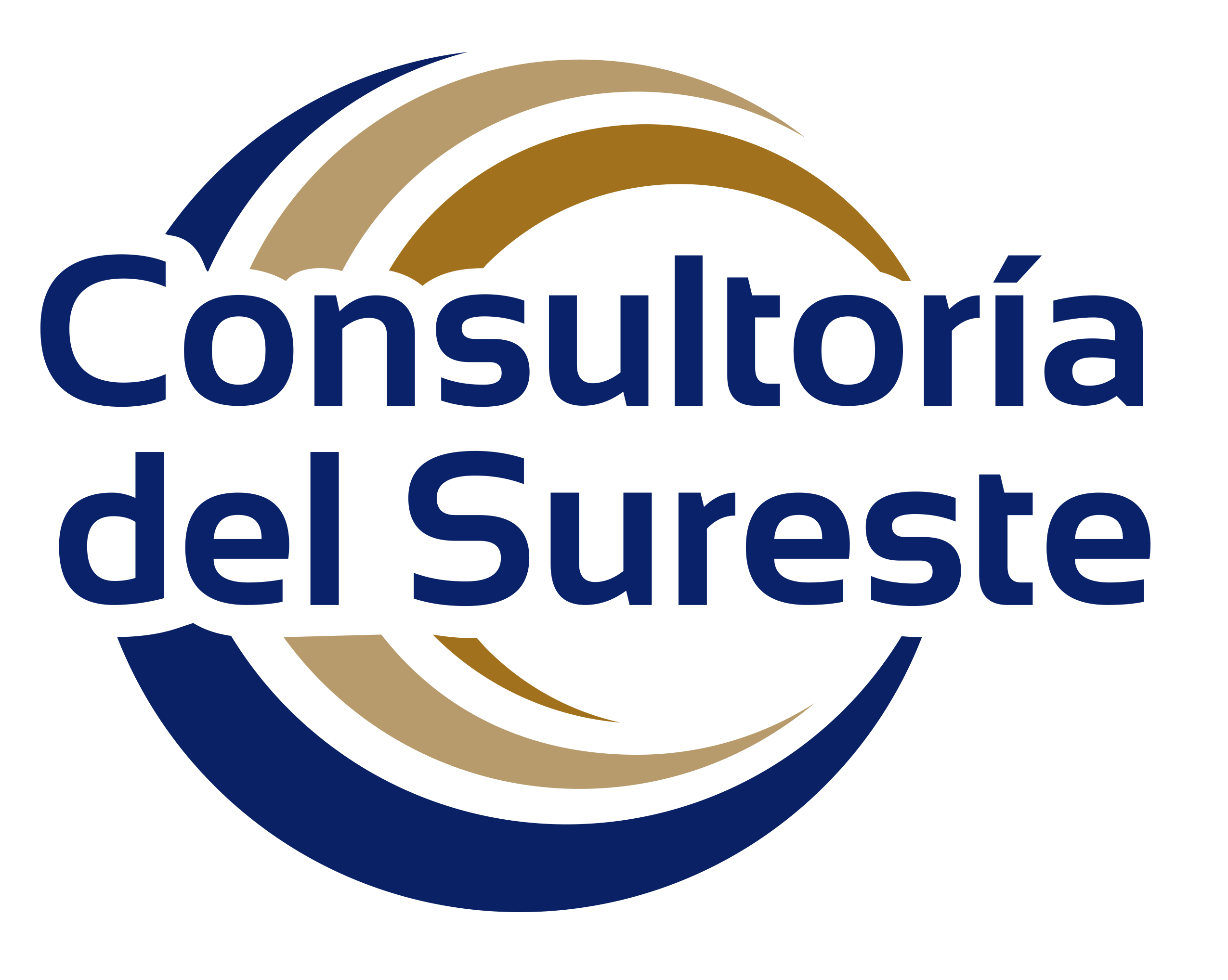 Cosultoría del Sureste